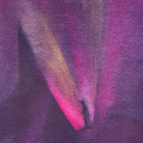 Dawn-icon